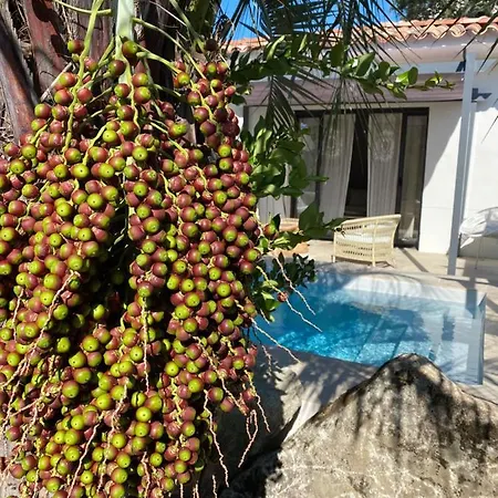 Casa Di L'ortu 4* Ajaccio (Corsica)