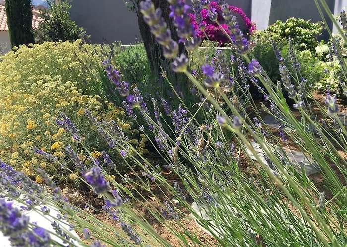 Bed & Breakfast Casa Di L'ortu Ajaccio (Corsica)