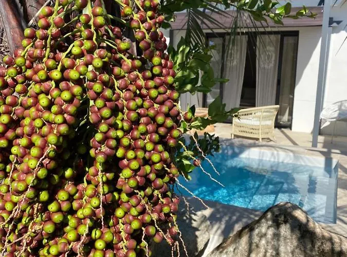 Casa Di L'ortu 4* Ajaccio (Corsica)